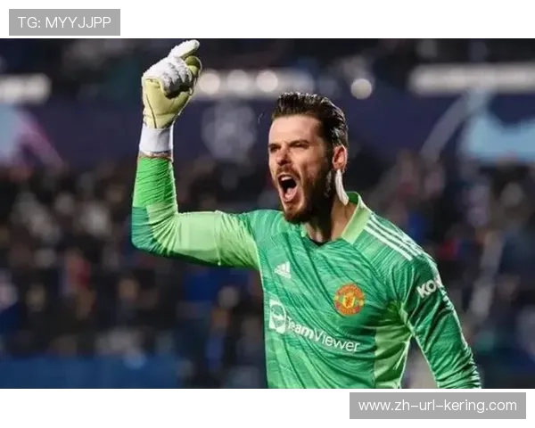 维拉门将大马丁缺阵影响防线，意甲球队关注其替代者